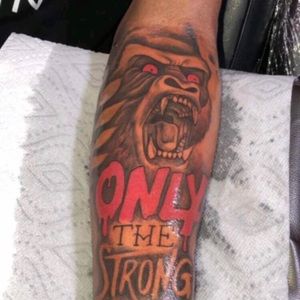 Meet your Posher, Brandan